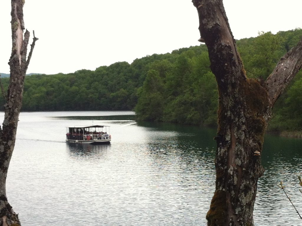 Electric Boat Ride