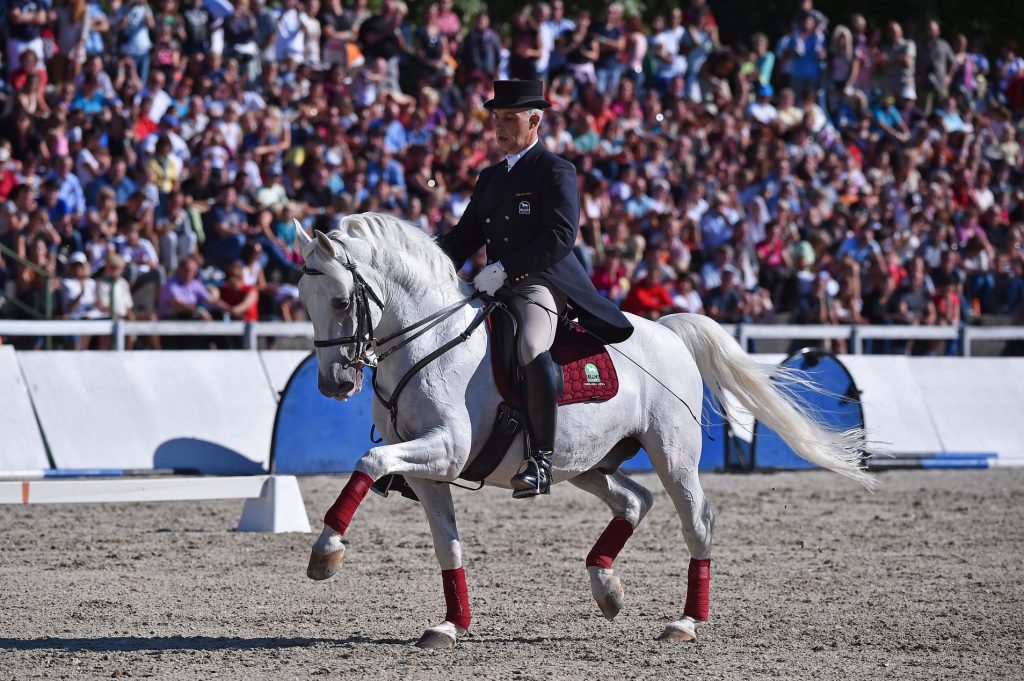 A picture of a lipizzaner horse performing in Lipica. Book a show at www.krug-travel.com.
