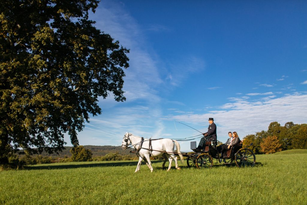 A picture of people riding a vintage carriage at Lipica Stud Farm in Slovenia. Book a carriage ride at www.krug-travel.com.